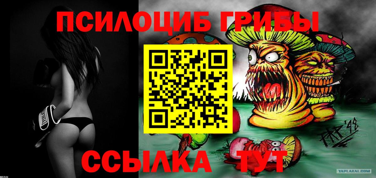 Псилоцибиновые грибы MAGIC MUSHROOMS  Галлюциногенные грибы мухоморы  Нурлат  где найти наркотики  Вход с VPN 